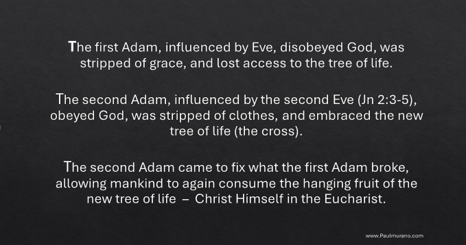 Second Adam 3