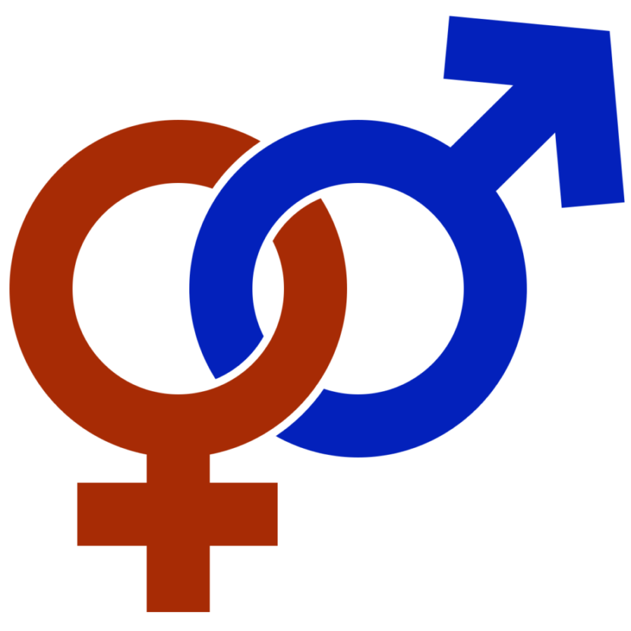 male & female