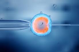 IVF pic