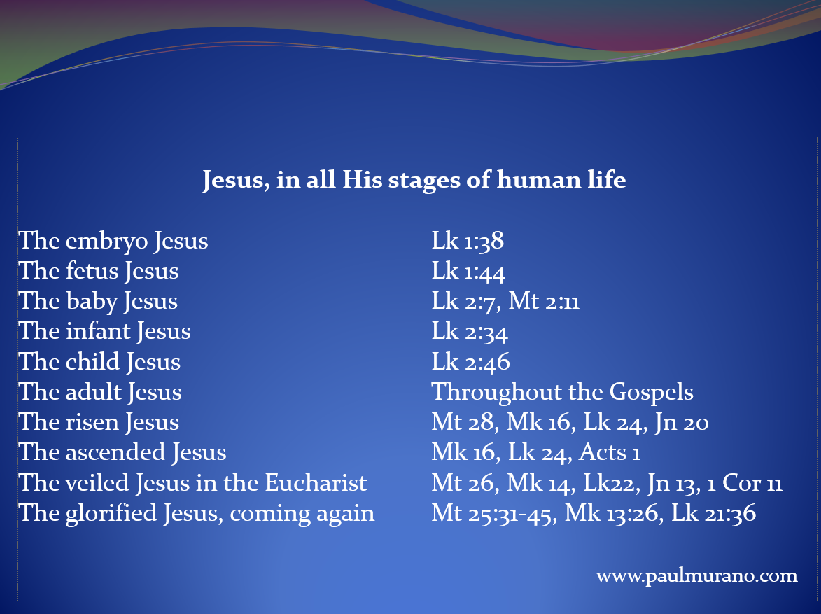 Jesus stages life cycle 3