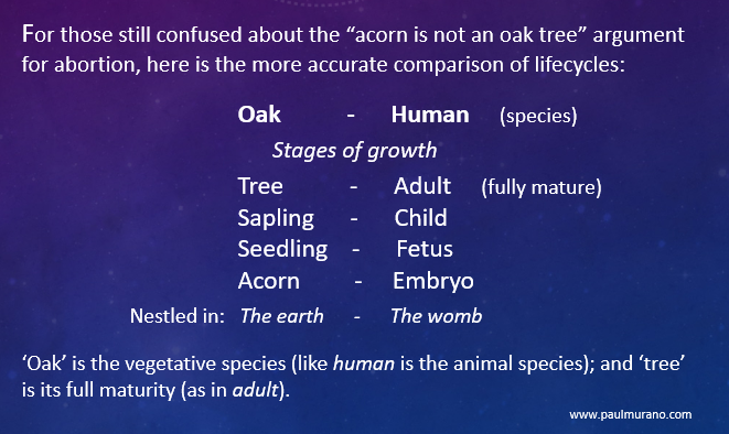 Oak tree analogy